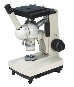 ��������x