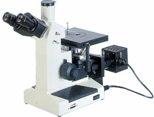 ��������x